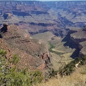 Meet your Posher, Orlando